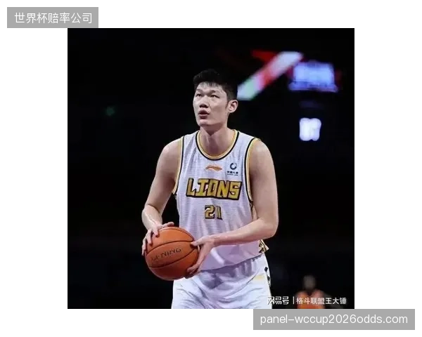 胡金秋凭借赛季高效表现入选最佳阵容一阵，其个人贡献值高居国内球员榜首。